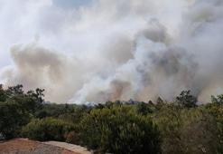 Kanarya Adaları’nda yangın: 3 bin sivil tahliye edildi