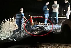 Mardin'de arazide silahla vurulmuş erkek cesedi bulundu