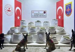 Diyarbakır'da 864 kilogram esrar ve 2 milyon kök Hint keneviri ele geçirildi