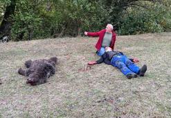 Ayının saldırısına uğrayan yaşlı adamı komşuları kurtardı