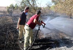 Edirne'de TEM kenarındaki ormanda yangın