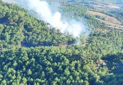 Çanakkale'de orman yangını  kontrol altına alındı