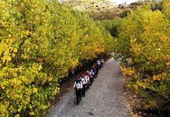 Nemrut Krater Gölü'nde sonbahar renkleri