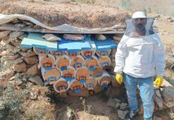 Mereto Dağı eteklerinde ürettiği balın kilosunu 2 bin 500 liradan satıyor