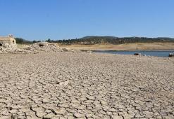 Bodrum’a su veren ikinci baraj da kurudu