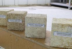 Kenevir sapından yapı malzemesi üretildi