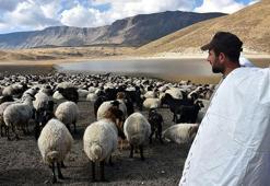 Bitlis'te göçerlerin zorlu dönüş yolculuğu başladı