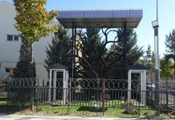 'Şehitler Ağacı'ndan künye çalan anne ile oğluna para cezası