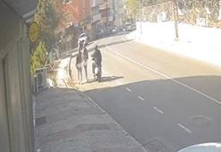 Beylikdüzü'nde motosikletli kapkaççılar kamerada