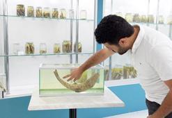 RTEÜ'lü bilim insanları, dünyanın en nadir canlılarından leopar sazanını arıyor