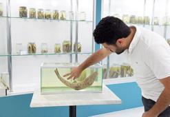 RTEÜ'lü bilim insanları, dünyanın en nadir canlılarından leopar sazanını arıyor