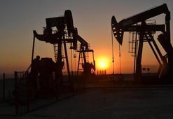 TPAO'dan dolandırıcılara karşı uyarı