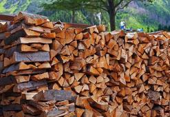 Orman köylüsüne ısı yalıtımı desteği ile 63 bin ton odun tasarrufu