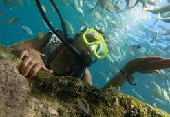 Antalya'da dalış turizmi yüz güldürmedi