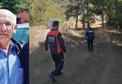 Mantar toplamak için gittiği ormanda kayboldu