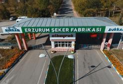 Sukkar Şeker’den 84 bin ton kristal şeker üretim hedefi