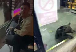 Karabük'te yavru ayı iş merkezine girip, sokaklarda koştu; görenler kaçtı