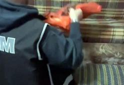 Yabancılara sahte belgelerle ikamet çıkaran şüphelilere operasyon: 13 gözaltı