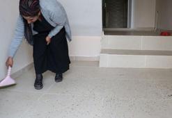 Tespih böcekleri mahallelinin kabusu oldu