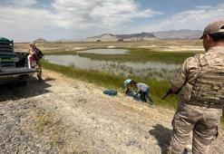 Ağrı'da biyokaçakçılara 1 milyon 465 bin lira ceza