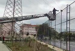 Avcılar'da tel örgüde mahsur kalan kedi kurtarıldı
