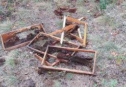 Çankırı'da köye inen ayı, arı kovanlarını parçaladı