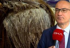 Prof. Dr. Kutlubay'dan sahte saç boyası uyarısı