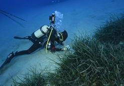 ‘Deniz çayırlarının korunmasına yönelik acil harekete geçmek gerekiyor’