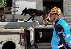 Hassas burunlara zorlu sınavla sertifika