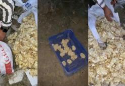 Amasya'da ağzı bağlı çuvallarda, 600 ölü civciv bulundu