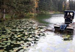Gölcük Tabiat Parkı'nda göl yüzeyi temizleniyor
