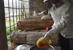 Londra'daki 'Altın Bal' yarışması sonrası Bitlis balına yoğun ilgi