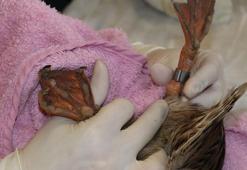 Yaralı hayvanlara 'halkalı' rehabilitasyon