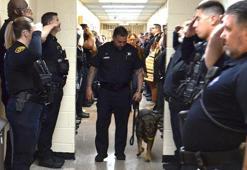 Kanser hastası K9 köpeği, polislerin selamlama kıtasıyla uğurlandı