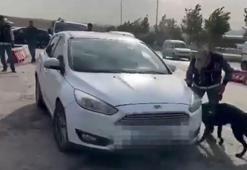 Gaziantep'te otomobilde 78 kilo skunk ele geçirildi