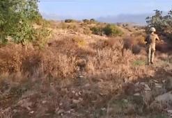 Bakan Yerlikaya: 28 ilde teröristlerin sığınakları imha edildi