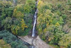 Karadeniz ormanlarında sonbahar güzelliği