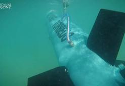 Hamas’ın yerel yapım torpidosu El Asif'den görüntüler