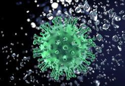 Prof. Dr. Ceyhan: Covid-19'da pozitiflik oranı yüzde 30'lara ulaştı