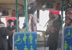 Çekmeköy'de kucağındaki köpekle otobüse bindi; tepki gösteren şoför ve yolcularla tartıştı