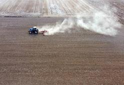 Trakya'da buğday kuru toprağa ekilip, yağış beklenmeye başlandı