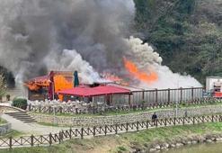 Sera Gölü kıyısındaki sosyal tesis yandı