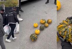 Hakkari'de, minibüste bal kabağına gizlenmiş 14 kilo uyuşturucu ele geçirildi