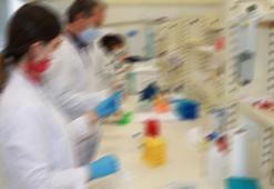 Türkiye'den 397 bilim insanı, dünyanın en etkili yüzde 1'ine girdi