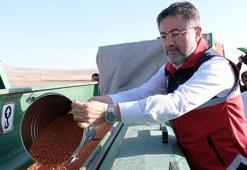 Bakan Yumaklı: Ülkemiz sertifikalı tohumda, on kat üretimini arttırmış bir ülke