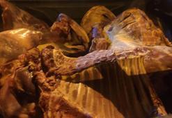 Batman'da kaçak et operasyonu; 21 işletmeye 442 bin TL ceza