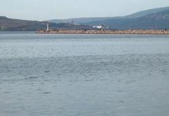 Prof. Dr. Sarı: Marmara Denizi'nin yüzey suyu sıcaklığı hala 20 derece; besin zinciri etkilenebilir