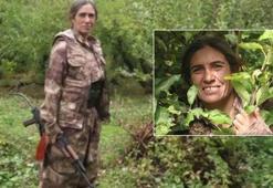 PKK/KCK'nın sözde sorumlusu, Irak'ın kuzeyinde etkisiz hale getirildi