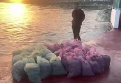 Kadıköy'de 1 ton kaçak midye avlayan kişiye 24 bin lira ceza kesildi