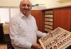 'Evlere ve ürünlere dadanan böcekler için önlem alınmazsa daha büyük sorunlar olacak